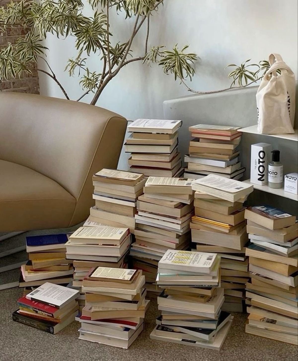 7 Books You Absolutely Must Read Tanja's diary 🧚🏻‍♂️